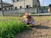 さつま芋畑の除草作業